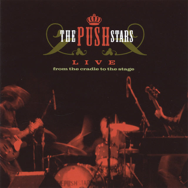 Live From The Cradle To The Stage cover