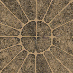 Solarmegin cover