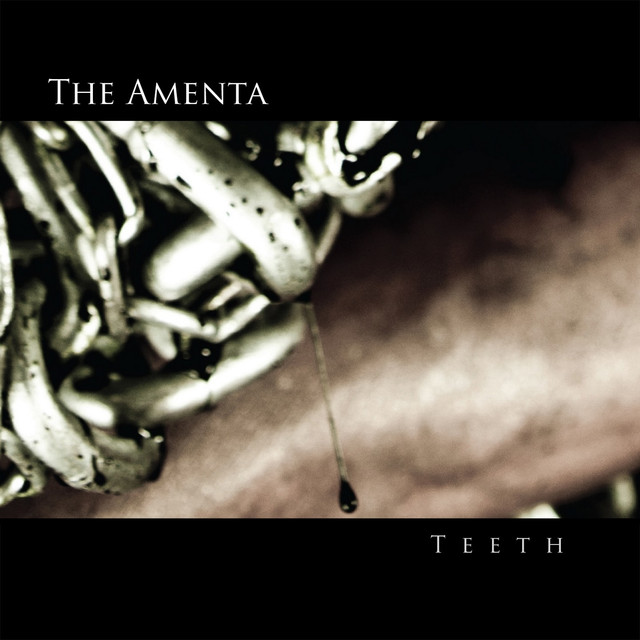Teeth cover