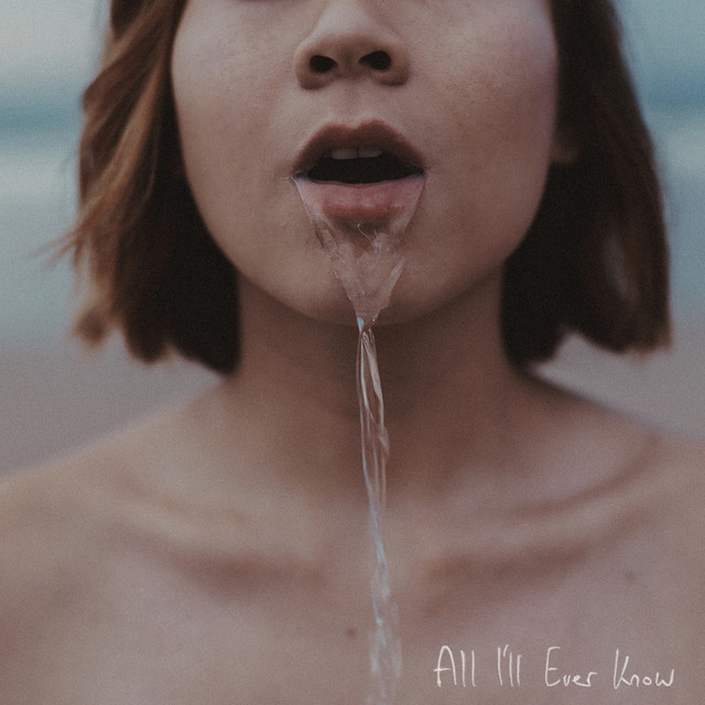 All I'll Ever Know cover