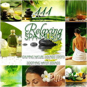 111 Relaxing Spa Music: Calming Nature Sounds Loops, Soothing Water Sounds, Healing Serenity Power album