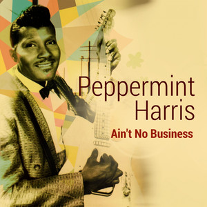 Ain't No Business album