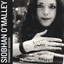 Permanent Markers Albumcover