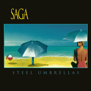 Steel Umbrellas cover