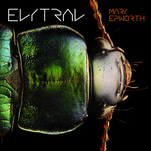 Elytral cover