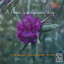 A Flower Is A Lovesome Thing (Remastered) Albumcover