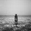 Hush Now Albumcover