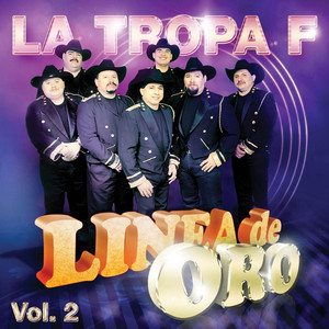 Linea De Oro Vol. 2 cover