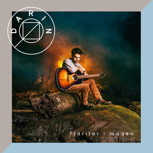 Fjärilar i magen cover