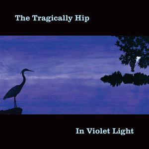 In Violet Light album
