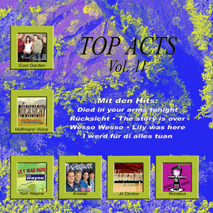 Top Acts Vol. 11 album