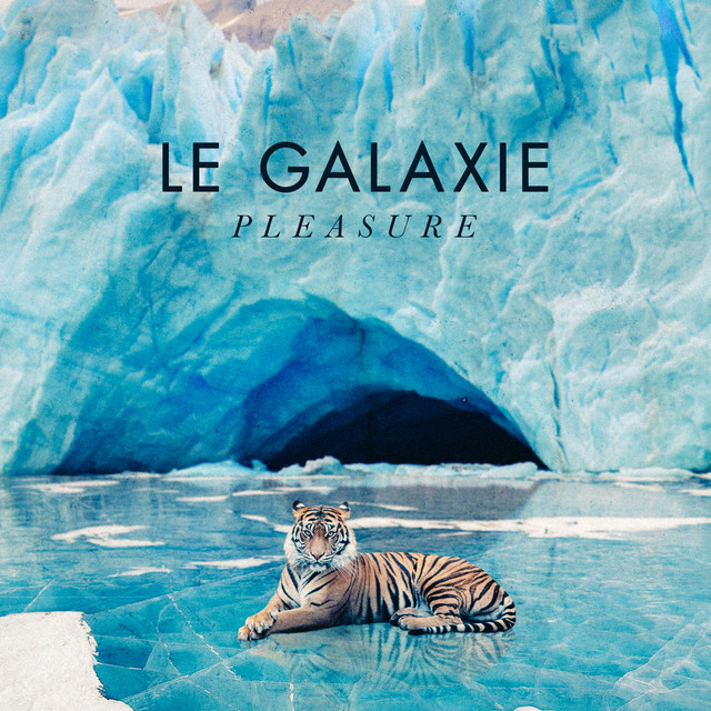 Pleasure cover