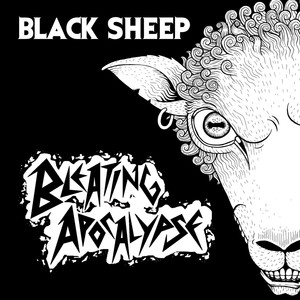 Black Sheep cover