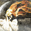 Disarm The Descent (Special Edition) cover