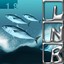 Bonito Albumcover