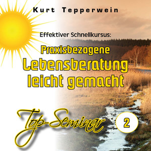 Effektiver Schnellkursus: Praxisbezogene Lebensberatung leicht gemacht (Top-Seminar Teil 2)