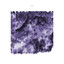 Pllajë (Chopped Not Slopped) cover