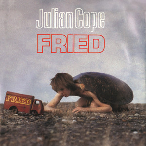 Fried album