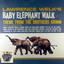 Baby Elephant Walk cover