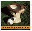 Bird Wood Cage cover