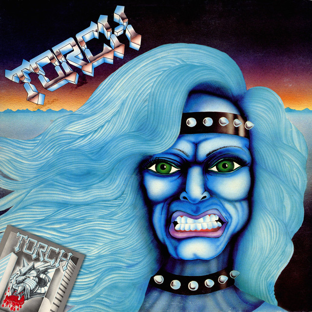Torch cover