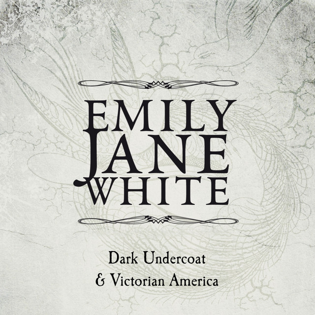 Victorian America / Dark Undercoat cover