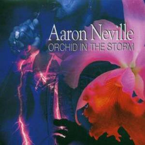 Orchid in the Storm album