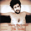The Snake cover