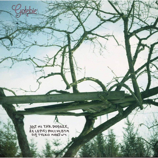 Gołębie Photo