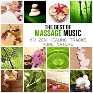 The Best of Massage Music: 50 Healing Tracks Zen Pure Nature, Deep Relaxation, Meditation, Spa Wellness, Sleep Inducing & Reiki, Relaxing Therapy Rain & Ocean Waves album