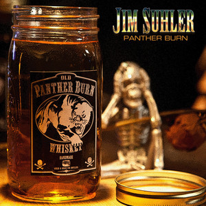 Panther Burn cover