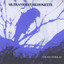 Ultraviolet Silhouette Albumcover