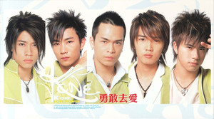 勇敢去愛 cover
