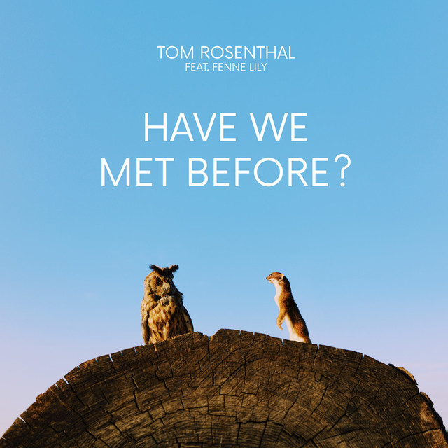 Have We Met Before? cover