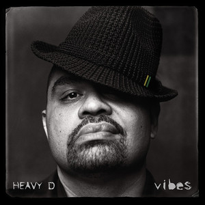 Vibes cover