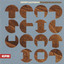 Transfiguration cover