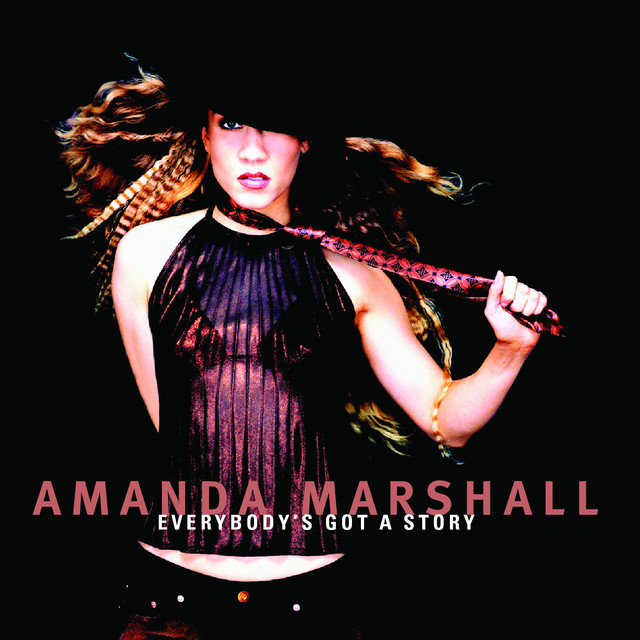 Everybody's Got A Story cover