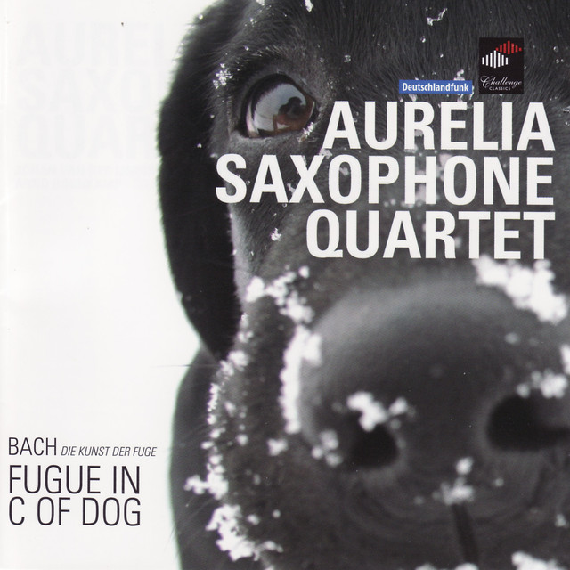 Aurelia Saxophone Quartet Photo