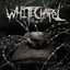 Somatic Defilement cover