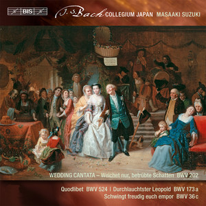 Bach: Secular Cantatas, Vol. 3 album