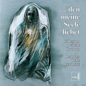 Collegium instrumentale Bochum