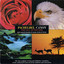 Pachelbel Canon Albumcover