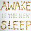 Awake Is the New Sleep cover