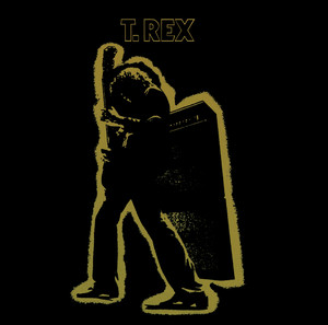 Electric Warrior album