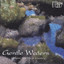 Gentle Waters - Music For Life's Journey Albumcover