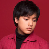 Arsy Widianto profile