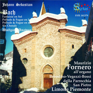 Bach: L'Organo Brondino - Vegezzi - Bossi de San Pietro di Limone Piemonte album