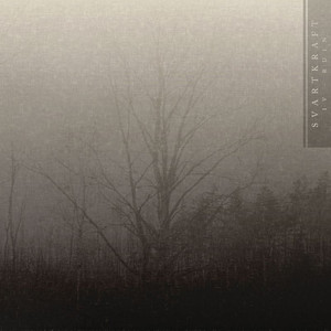 IV - Ruin cover