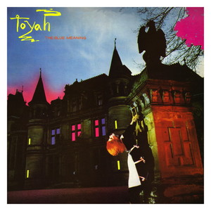 The Blue Meaning Albumcover