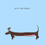 Edie Brickell cover